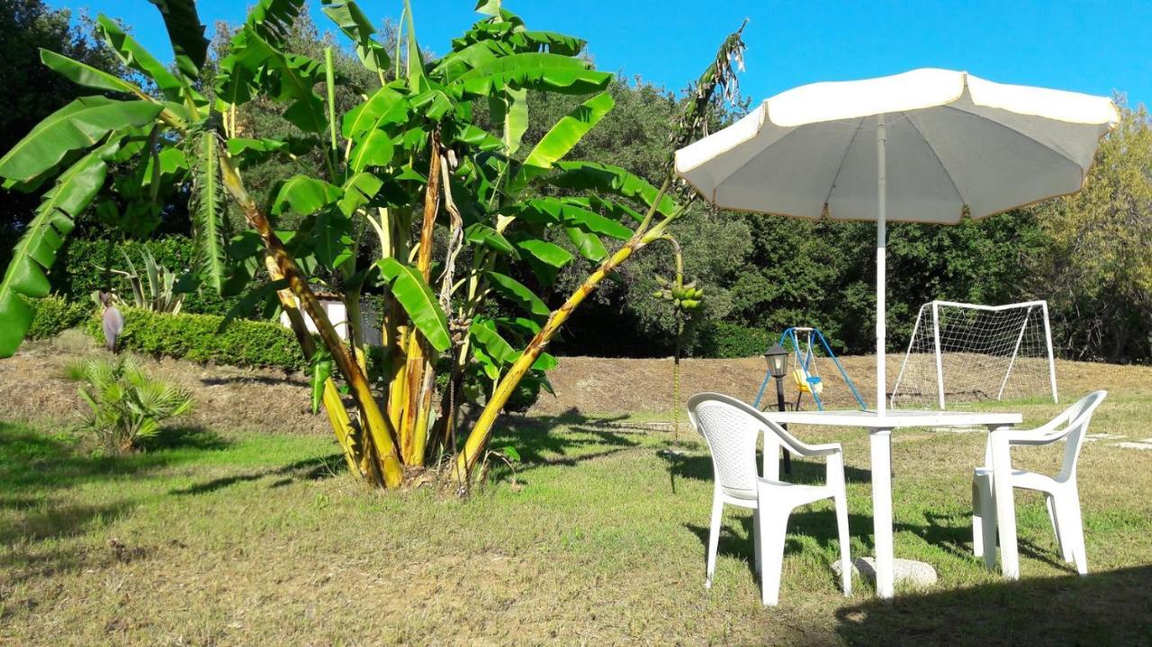 Villa Mimosa Tropea Ricadi Bagian luar foto