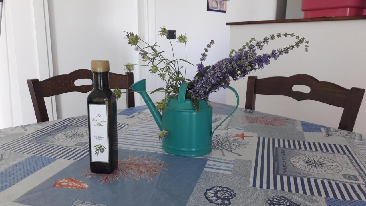 Villa Mimosa Tropea Ricadi Bagian luar foto