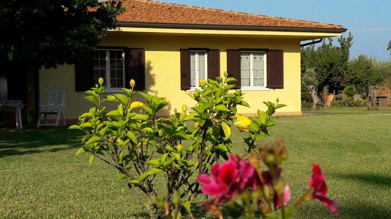 Villa Mimosa Tropea Ricadi Bagian luar foto