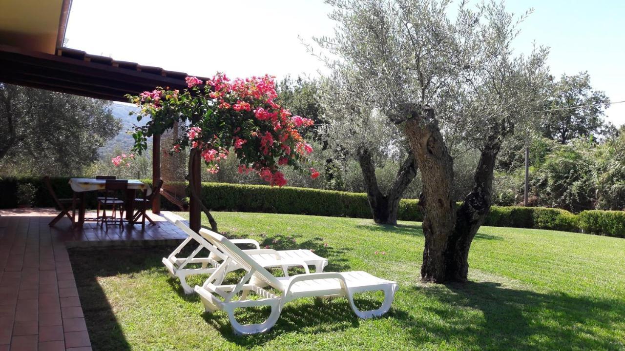 Villa Mimosa Tropea Ricadi Bagian luar foto