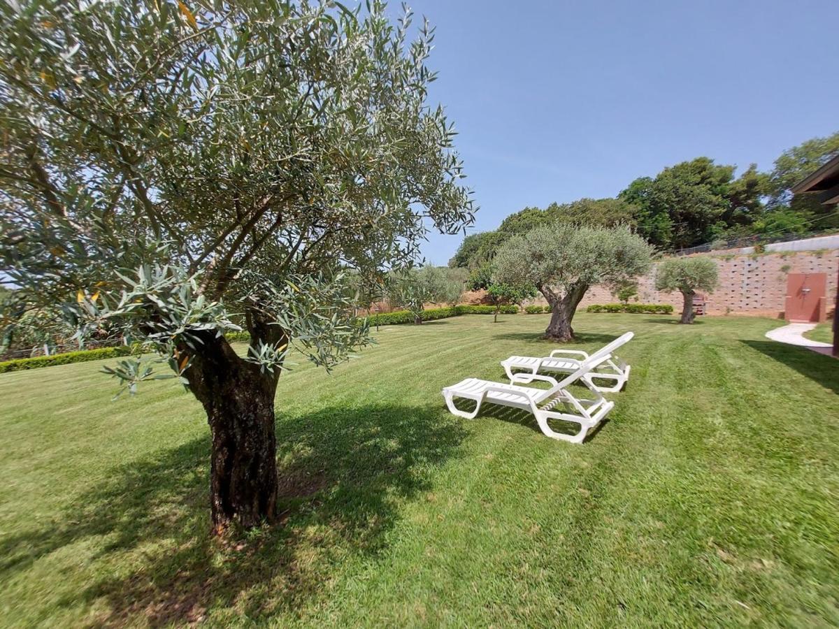 Villa Mimosa Tropea Ricadi Bagian luar foto