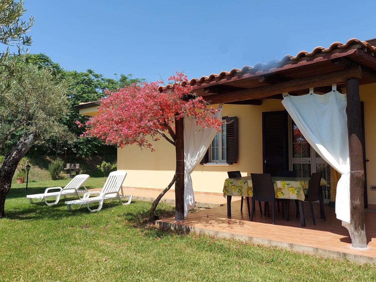 Villa Mimosa Tropea Ricadi Bagian luar foto