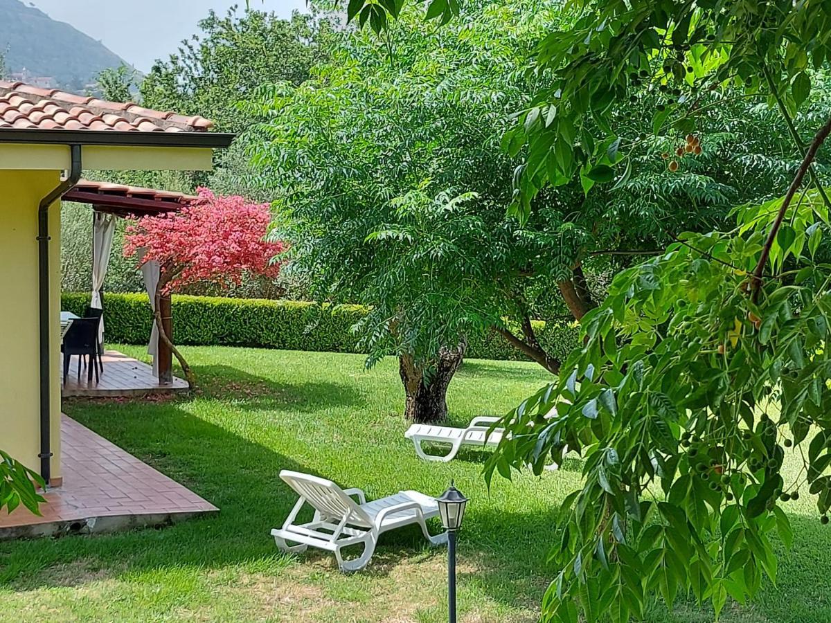 Villa Mimosa Tropea Ricadi Bagian luar foto