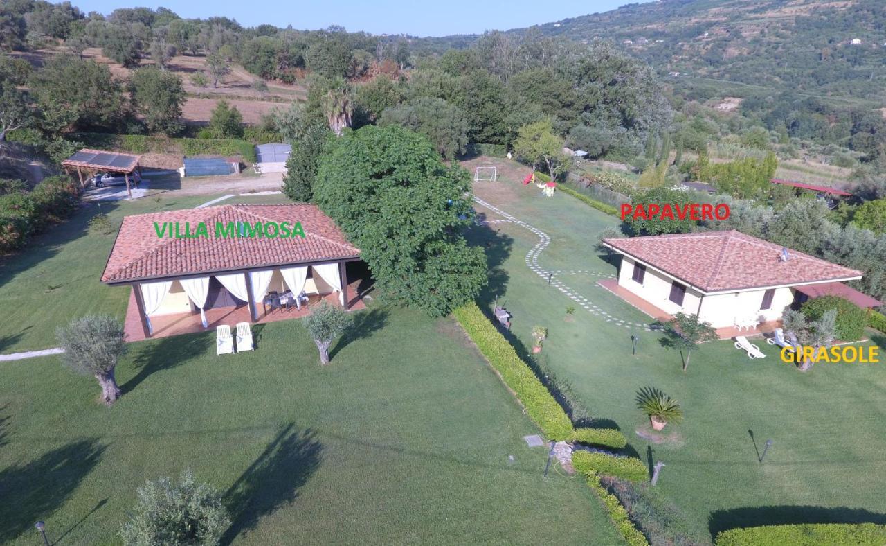 Villa Mimosa Tropea Ricadi Bagian luar foto