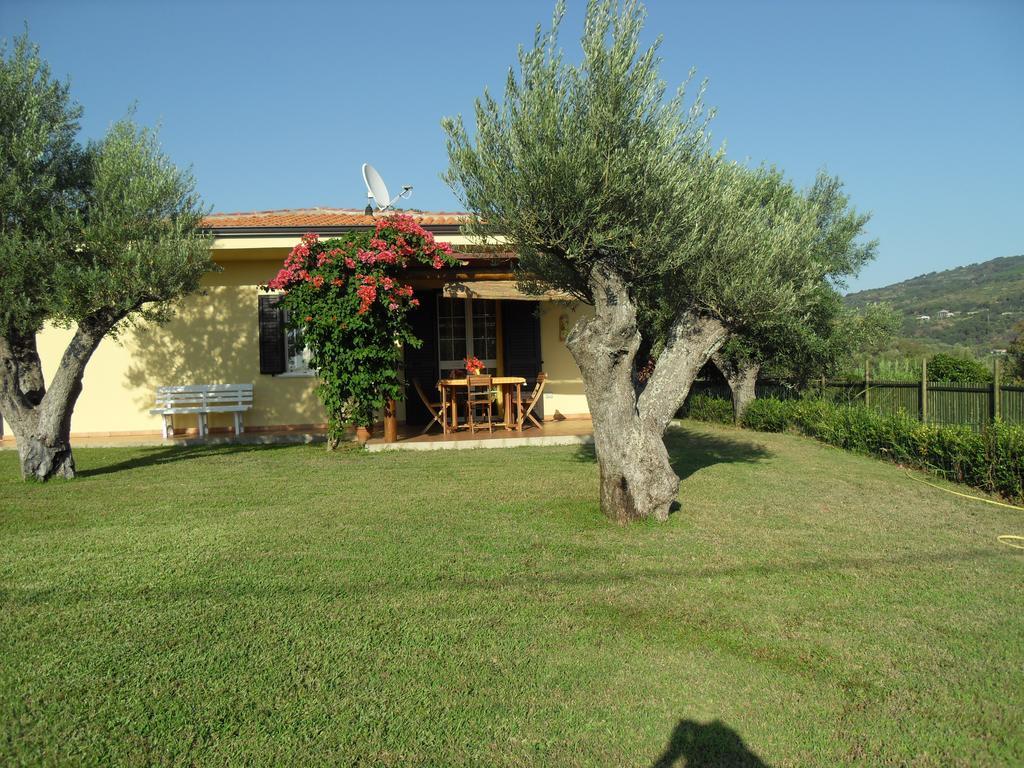 Villa Mimosa Tropea Ricadi Bagian luar foto