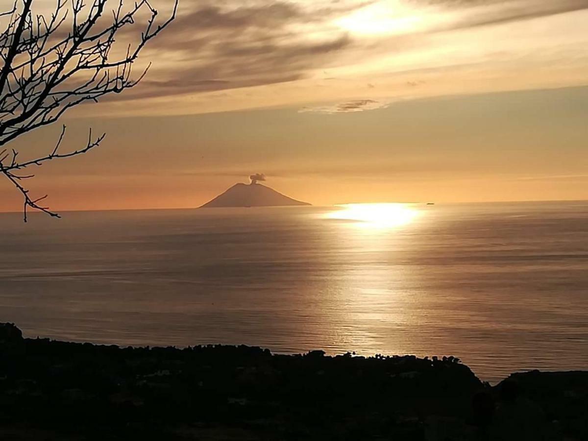 Villa Mimosa Tropea Ricadi Bagian luar foto